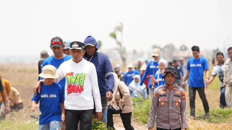 Sumur Bor Jaga Produktivitas Sawah Tadah Hujan