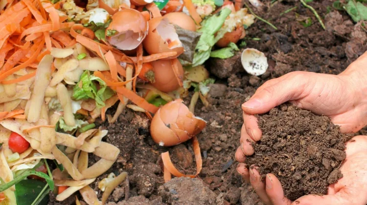 Sampah Organik Diolah Jadi Pupuk oleh Tumpuk Sampah