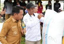 Bupati Sidrap Panen Raya di Pitu Riase