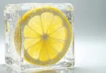Sensasi Dingin Lemon Beku: Kesegaran Alami di Setiap Tetesnya