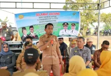 Panen Raya Salobukkang, Petani Raup Rp25 Miliar