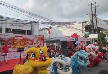 Warga Nantikan Pertunjukan Barongsai pada Festival Cap Go Meh 2026