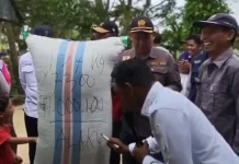 Bupati Sidrap Pimpin Panen Padi Perdana di Walatedong