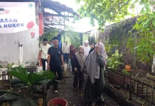 Melinda Aksa Tinjau Lahan dan RTH Pasar Panakkukang