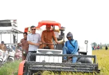 Panen Raya Padi Sidrap, Pendapatan Petani Meningkat Tajam