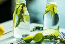 Racikan Infused Water Alami Pendamping Menu Makanan Berlemak