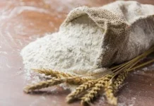 Mengenal Gluten dan Kesehatan Pencernaan dalam Olahan Terigu