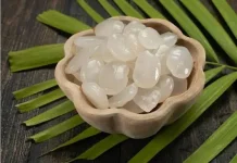 Kolang Kaling: Camilan Sehat dengan Beragam Manfaat Kesehatan