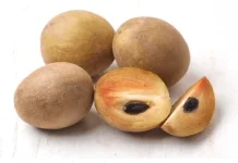 Manfaat Buah Sawo bagi Kesehatan, Kaya Nutrisi dan Digemari Masyarakat