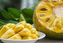 Nangka Muda Menjadi Pengganti Daging Lezat dan Sehat untuk Diet Plant-Based
