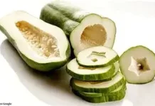 Manfaat Pepaya Muda dan Kandungan Nutrisinya bagi Kesehatan