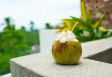 Waktu Terbaik Minum Air Kelapa agar Nutrisi Optimal