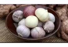 Manfaat Bawang Putih Bakar, untuk Kesehatan