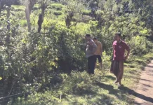 Pesta Ballo Berujung Tragis, Satu Tewas di Camba Maros