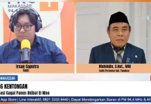 Pengolahan Hasil Panen Jadi Kendala Kabupaten Pangkep
