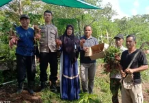 Kapolsek dan Kasat Narkoba, Pemdes Bontokoraang Panen Raya Ubi Jalar