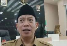 Dukung Ketahanan Pangan Lokal, Kecamatan Wajo Hadirkan Peternakan Ayam Petelur