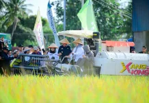 Panen Raya Pinrang Capai 6,8 Ton, Perkuat Peran Sulsel sebagai Lumbung Pangan