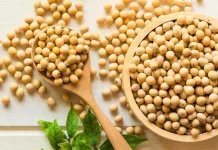 Pengamat Ekonomi: Pemerintah Harus Berani Beri Subsidi Petani Kedelai