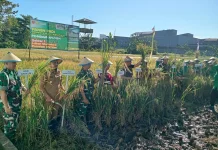 Pomdam XIV/Hasanuddin Wujudkan Dukungan Program Ketahanan Nasional