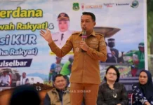 Bupati Sidrap Dorong Integrasi Pertanian dan Peternakan