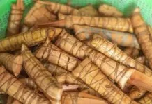 Lappa-Lappa, Sajian Khas di Hari Raya Masyarakat Sulsel
