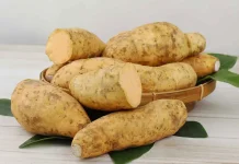 Tak Hanya Manis, Ubi Cilembu juga Bantu Jaga Energi dan Gula Darah