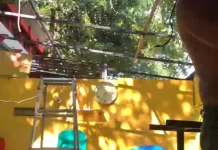 Puluhan PKL di Jalan Tinumbu Bongkar Mandiri Lapak
