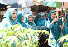 Bekali Kader Kelola Pekarangan Produktif, TP PKK Makassar Gelar Bimtek Aku Hatinya
