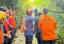Perempuan 51 Tahun Hilang di Hutan Palopo