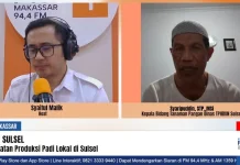 Strategi Air Jadi Kunci Produksi Padi Melimpah