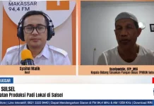Cetak Sawah Baru Dorong Produksi Padi Petani