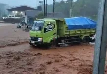 WALHI Desak Penghentian Tambang di Lutim