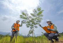 Vale Catat Kinerja Solid Triwulan Pertama