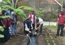 KKP Dukung Budikdamber di Kebun Aku Hatinya PKK