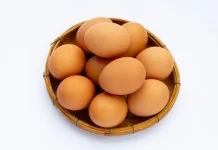 Konsumsi Telur Jadi Pilihan Utama untuk Tingkatkan Produktivitas