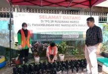 Maggot Jadi Solusi Sampah dan Sumber Penghasilan di Rusunawa Mariso