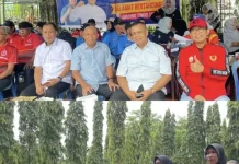 Dispora Sulsel Dorong Sinergi Pembinaan Atlet menuju PON