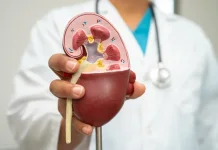 Kenali Lima Tanda Gangguan Ginjal Dari Kondisi Urine