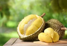 Penderita Maag Perlu Waspadai Waktu Konsumsi Durian