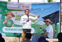 Sidrap Targetkan Produktivitas Padi 10 Ton Per Hektare