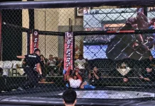 IBCA MMA Sulsel Siapkan Pertandingan Ekshibisi di Porprov 2026