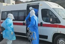 WHO Sebut Risiko Hantavirus di Kapal Pesiar Rendah, Delapan Kasus Dilaporkan