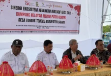 Perkuat Akses Keuangan, OJK Sulselbar Sasar Warga Pesisir