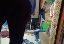Damkar Gowa Evakuasi Anjing Liar Meresahkan Warga Somba Opu