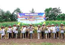 Kapolda Sulsel Pimpin Panen Raya Jagung Serentak Kuartal II
