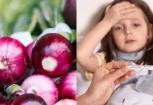 Khasiat Bawang Merah, untuk Menurunkan Panas