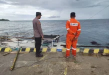 Cuaca Ekstrem, Kapal Muat 17 Ekor Sapi dan 1.000 Tabung Gas Tenggelam