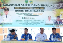 Pemkab Luwu Perkuat Pertanian Modern menuju Swasembada Pangan