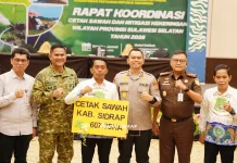 Sidrap Kejar Target Satu Juta Ton Gabah